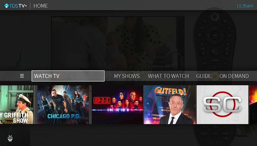 Homescreen of TDSTV+ on TVs